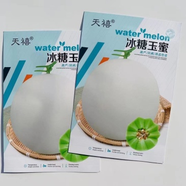 冰糖玉蜜甜瓜种子中熟抗病丰产耐贮运适合保护地大棚种植优质