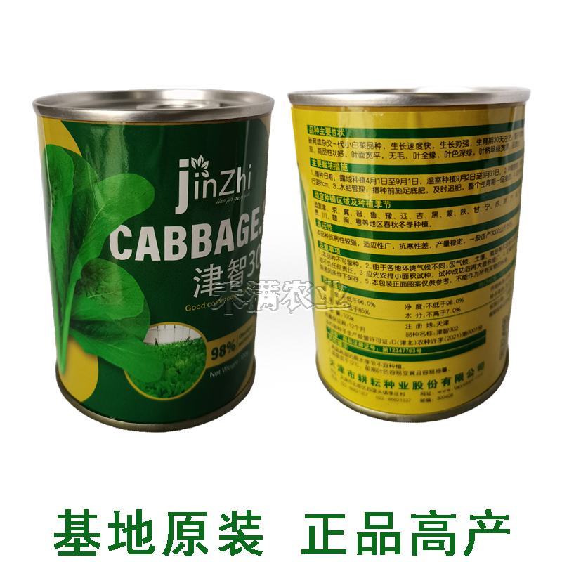 全绿夏季用鸡毛菜种子籽全绿杂交青梗耐热耐湿速鸡毛菜种子