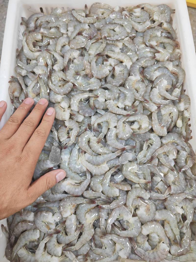 去头虾虾滑原料虾仁原料原料鲜度佳支持定制加工