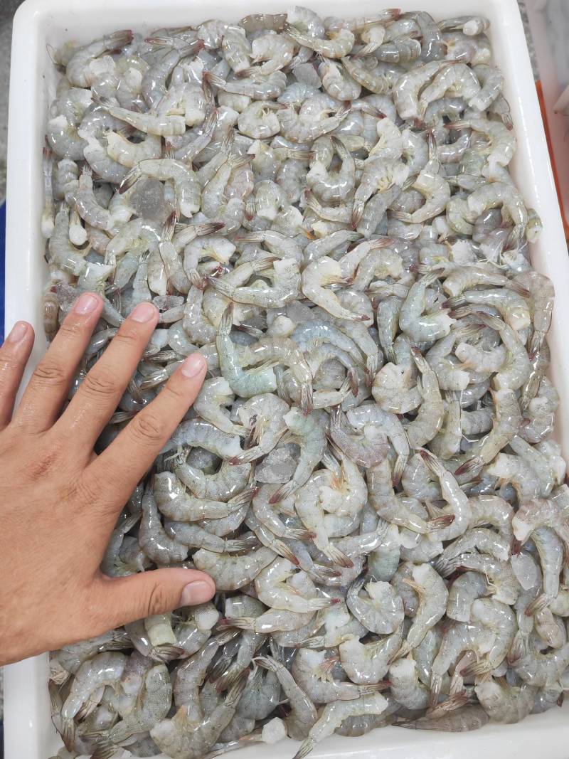去头虾虾滑原料虾仁原料原料鲜度佳支持定制加工