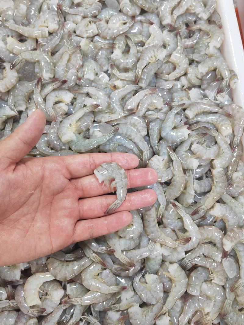 去头虾虾滑原料虾仁原料原料鲜度佳支持定制加工