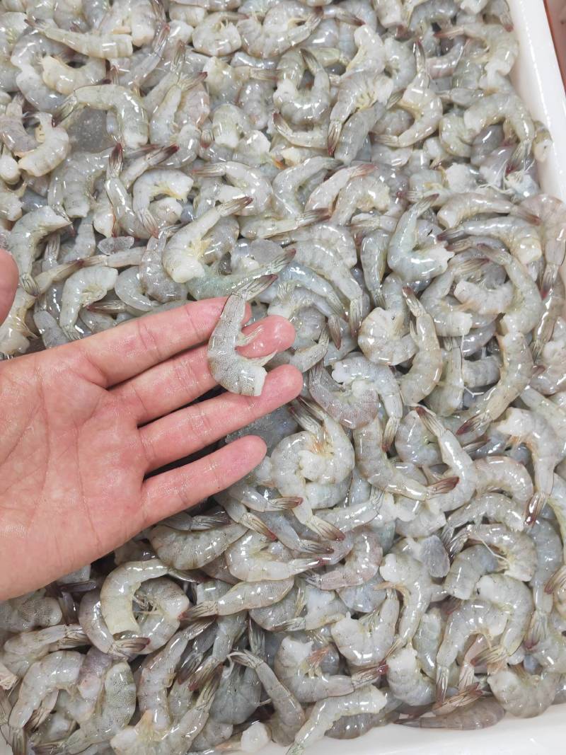 去头虾虾滑原料虾仁原料原料鲜度佳支持定制加工