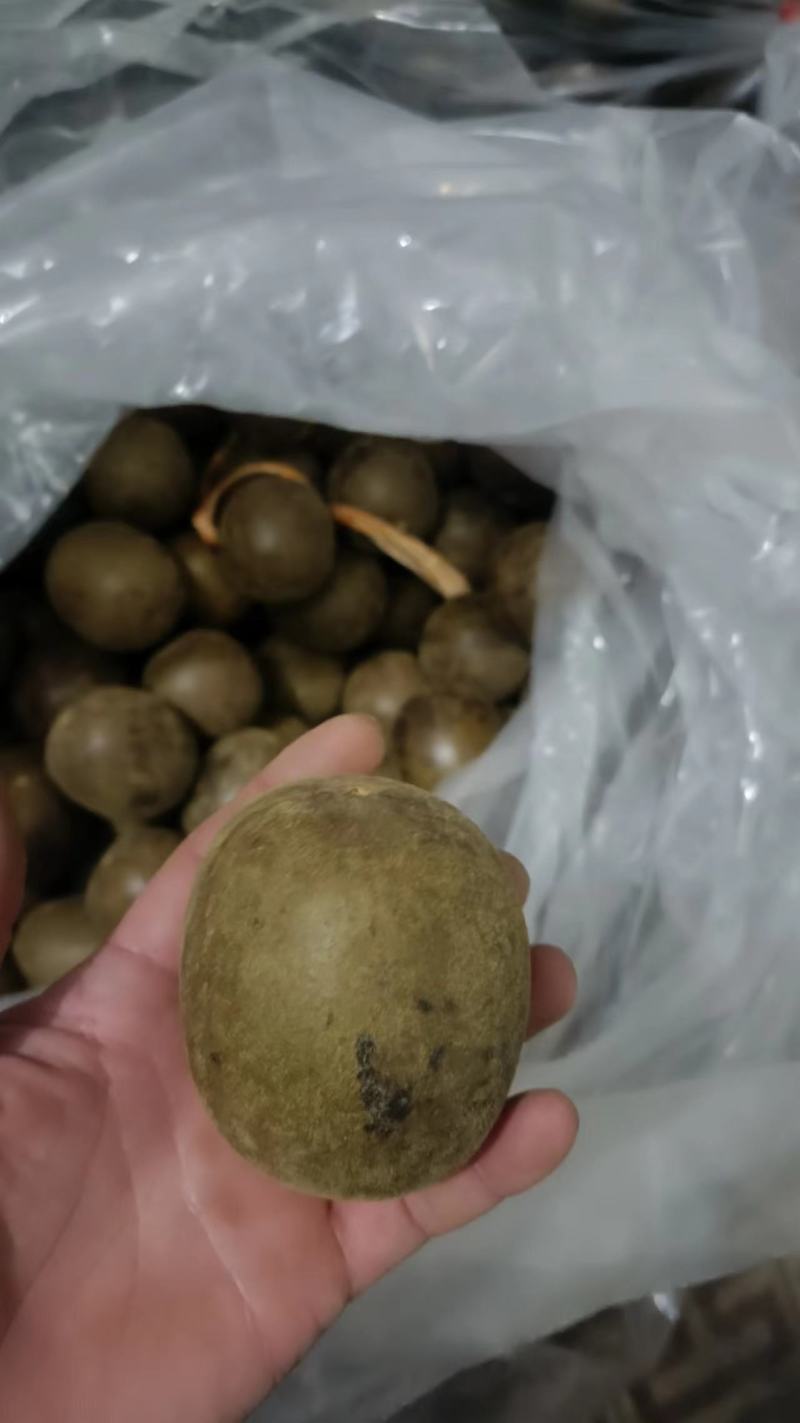 独立包装，量大优惠，全年供货，价格质量都有保证，