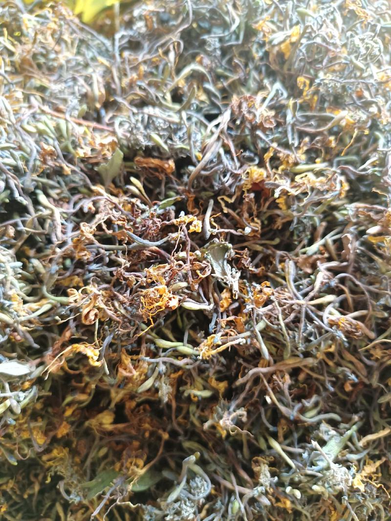 高山野生金银花，无硫、欢迎各位老板下单