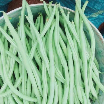 水果蔬菜