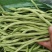 水果蔬菜