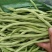 水果蔬菜
