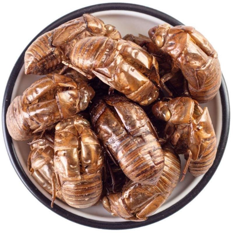 中药材蝉蜕蝉衣蝉壳虫蜕虫退爬了猴壳特价包邮