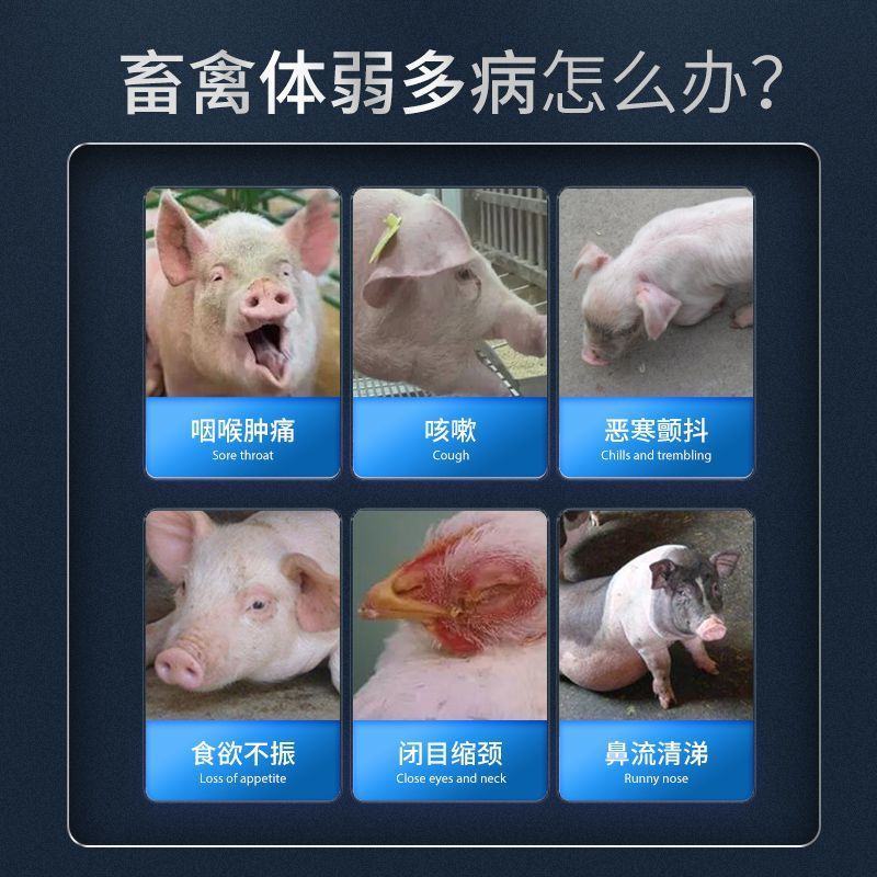 荆防本草纲清瘟大败毒四季流感清热感冒猪牛羊鸡鸭鹅禽饲料添