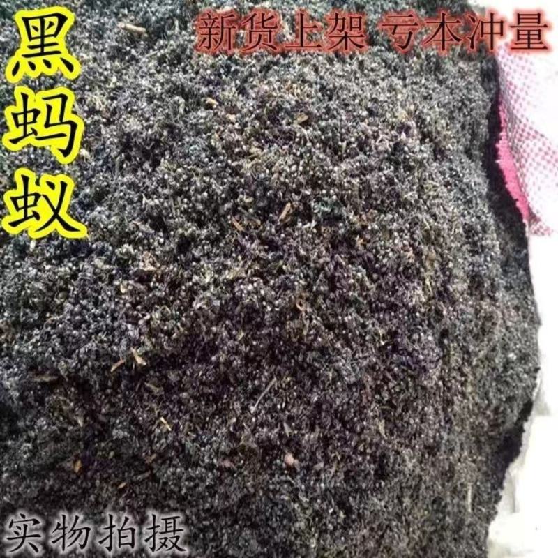 红蚂蚁中药材红蚂蚁干正品长白山可泡酒红蚂蚁250g包邮另
