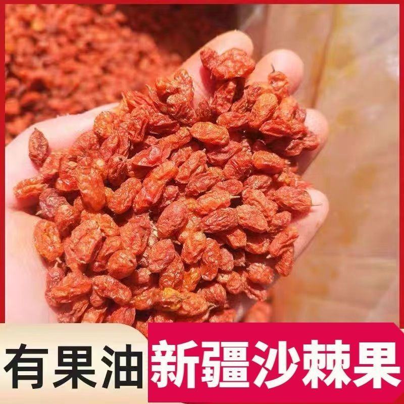 沙棘果干野生新疆特产果肉油润粒大肉厚果油含量高无添加沙棘