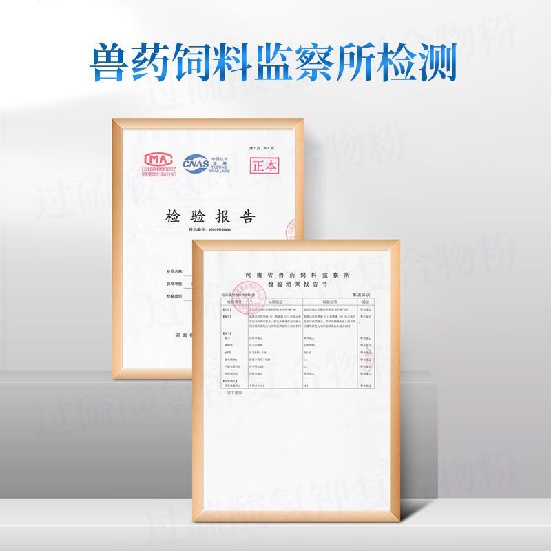 过硫酸氢钾复合物消毒粉养殖圈舍消毒剂猪丹毒蓝耳猪瘟消