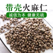 中药材火麻仁1斤包邮火麻子火麻籽即500克润