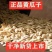 东北老旱黄瓜籽食用医用黄瓜子粉补钙接骨正品黄瓜籽批发