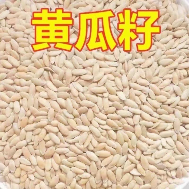 东北老旱黄瓜籽食用医用黄瓜子粉补钙接骨正品黄瓜籽批发