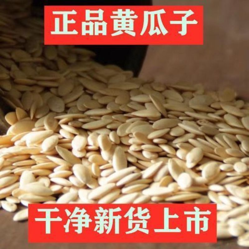 东北老旱黄瓜籽食用医用黄瓜子粉补钙接骨正品黄瓜籽批发