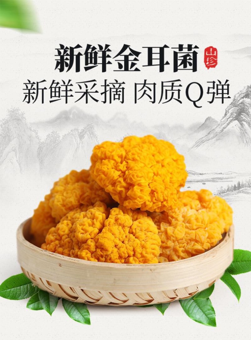 金耳鲜货，干货。
