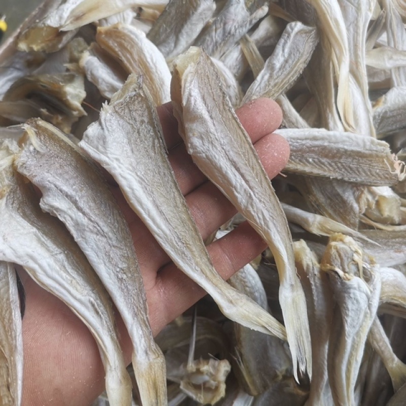 淡干角肉鱼干展会地摊淡干角肉鱼干红娘鱼干鲈肉小鱼干干鱼