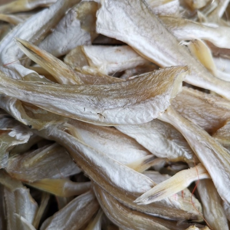 淡干角肉鱼干展会地摊淡干角肉鱼干红娘鱼干鲈肉小鱼干干鱼