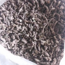 天葵子