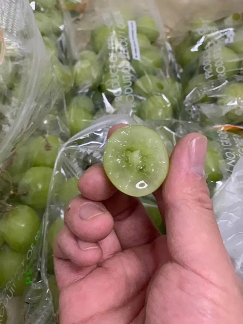 青提葡萄，大荔产地直销，