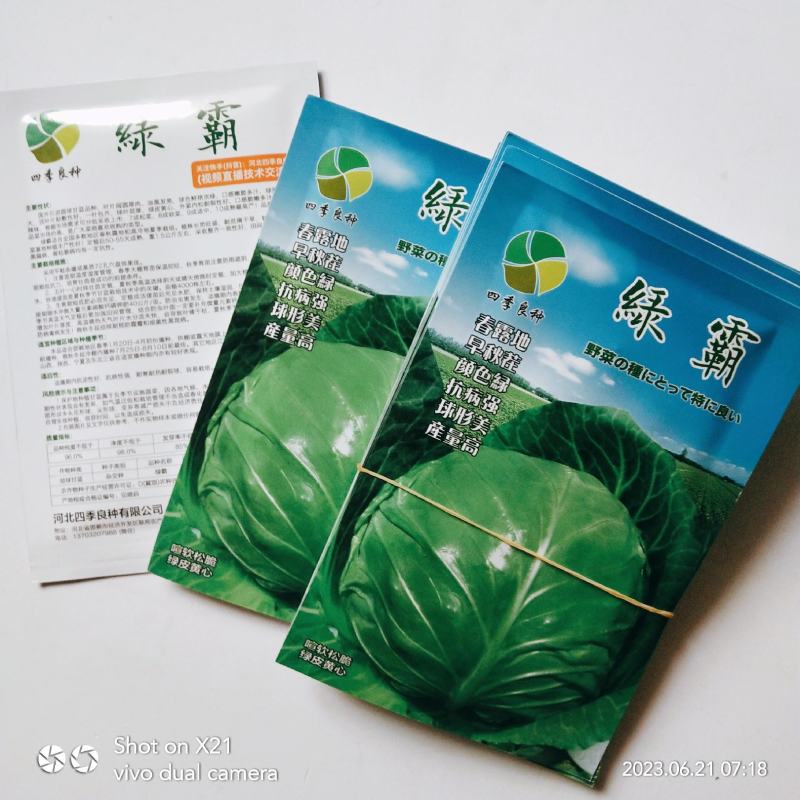 绿霸甘蓝种子基地合作社专用甘蓝种子浓绿抗病甘蓝种子