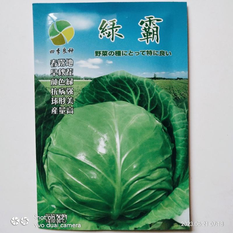 绿霸甘蓝种子基地合作社专用甘蓝种子浓绿抗病甘蓝种子