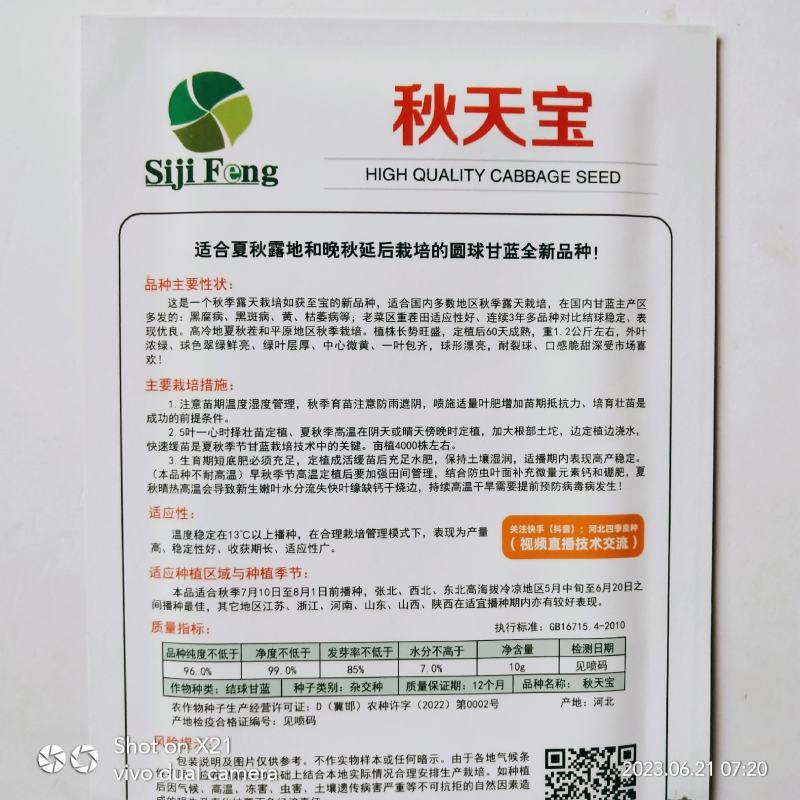 绿霸甘蓝种子基地合作社专用甘蓝种子浓绿抗病甘蓝种子