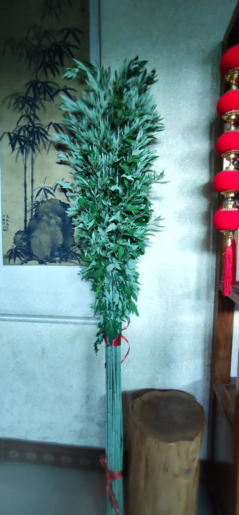 艾草种苗量大从优艾草盆栽现采现发小叶艾蕲艾大叶艾