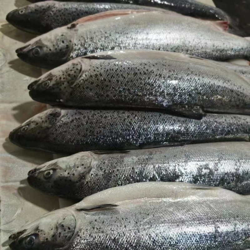 整箱原料，原包装饭店，自助餐，火锅店同款，批发价