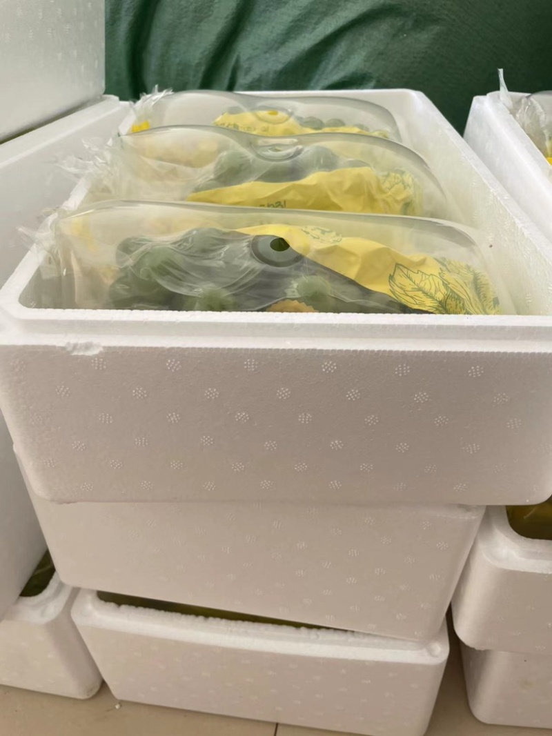 云南产地现采阳光玫瑰大棚种植支持市场支持电商