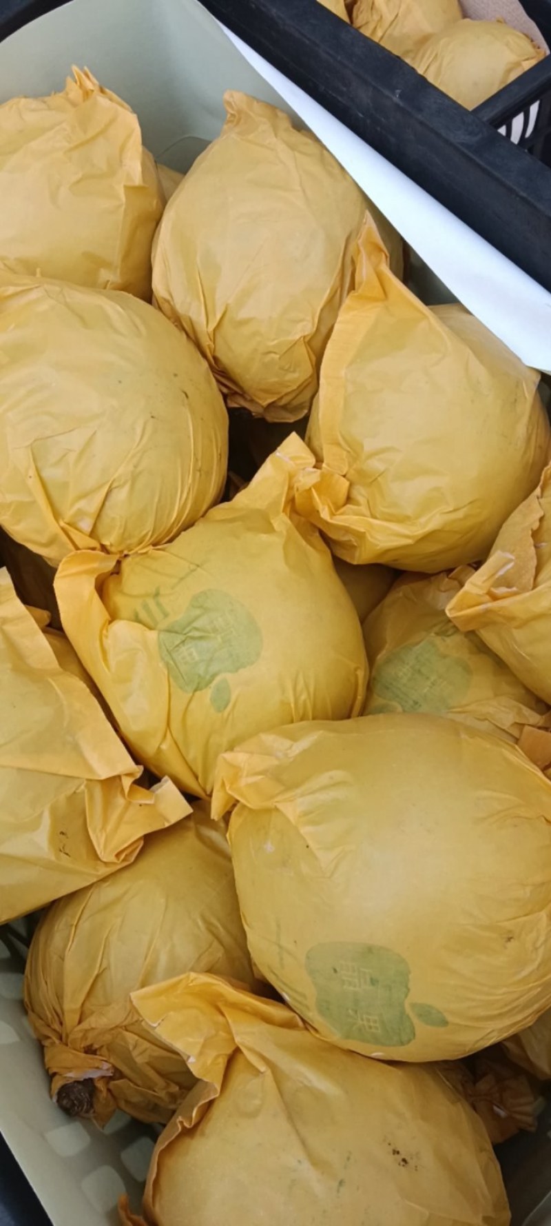 【实力推荐】精品翠冠梨产地直销全国发货保质保量！