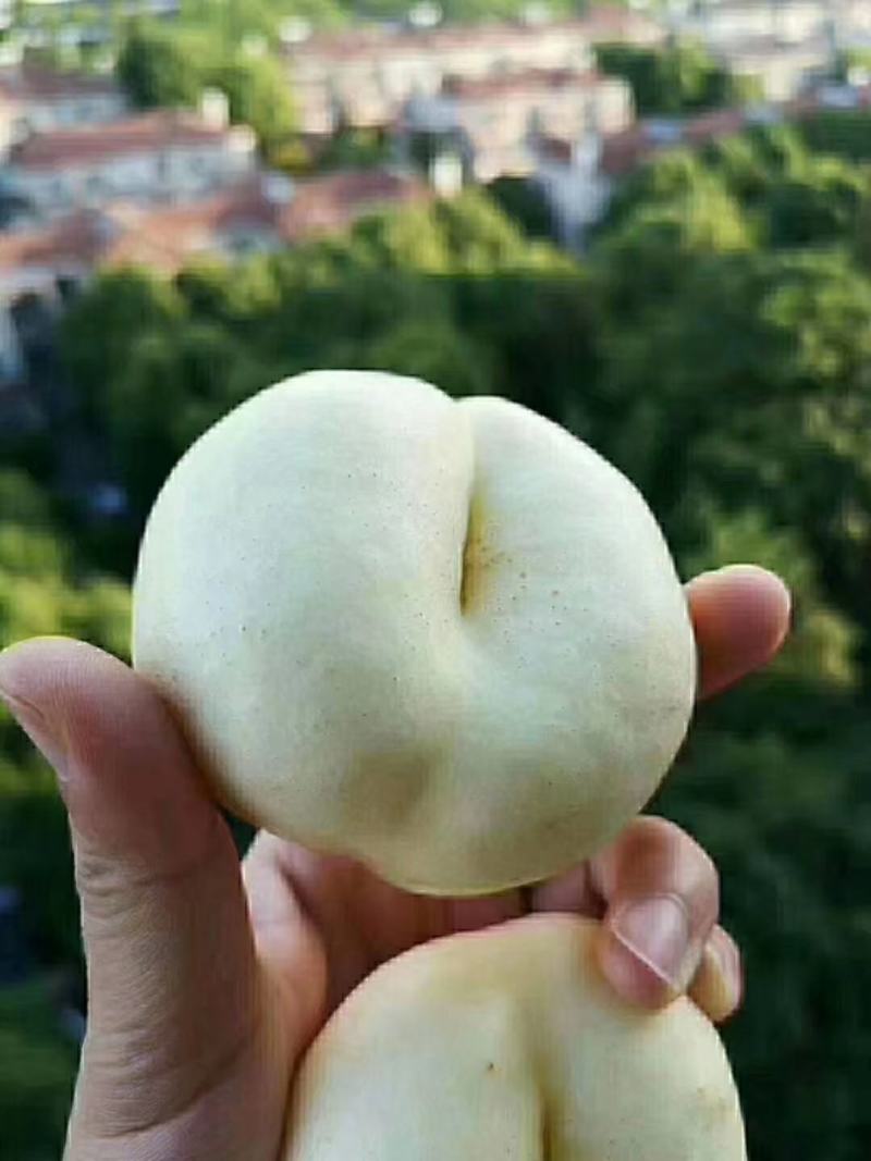 奶油蟠桃