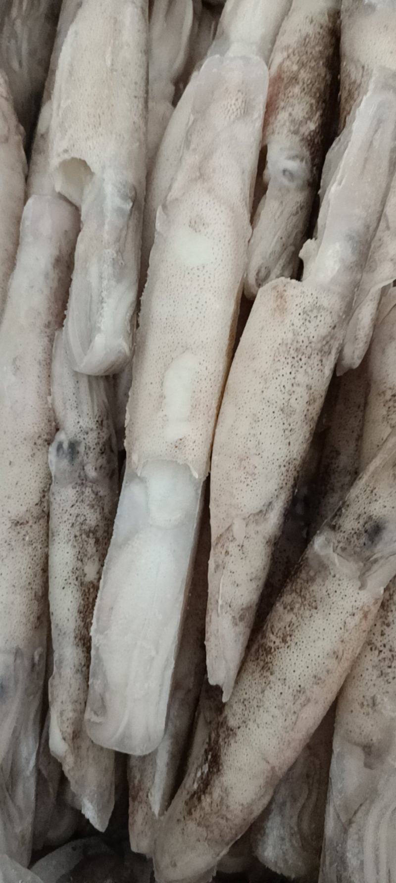 江苏连云港加州笔管鱼货源充足肉质鲜美，欢迎致电