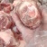 前腿骨质量好价格优惠现货