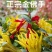 金华佛手盆栽带果/佛手树苗/佛手柑盆栽招财花卉佛手苗包邮