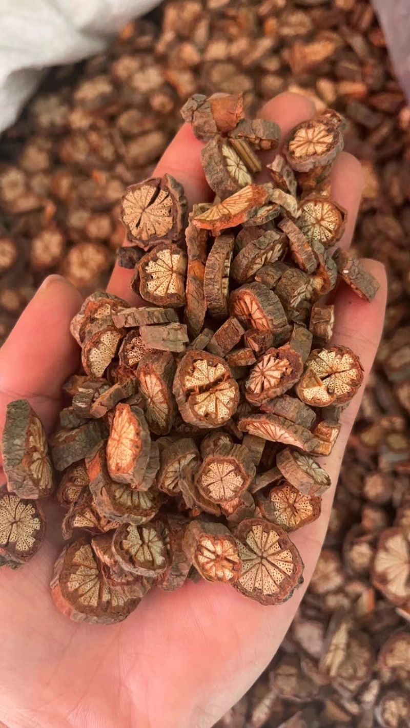 血藤，血塞通有现货价格便宜一手货源