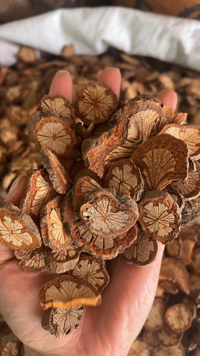 血藤，血塞通有现货价格便宜一手货源
