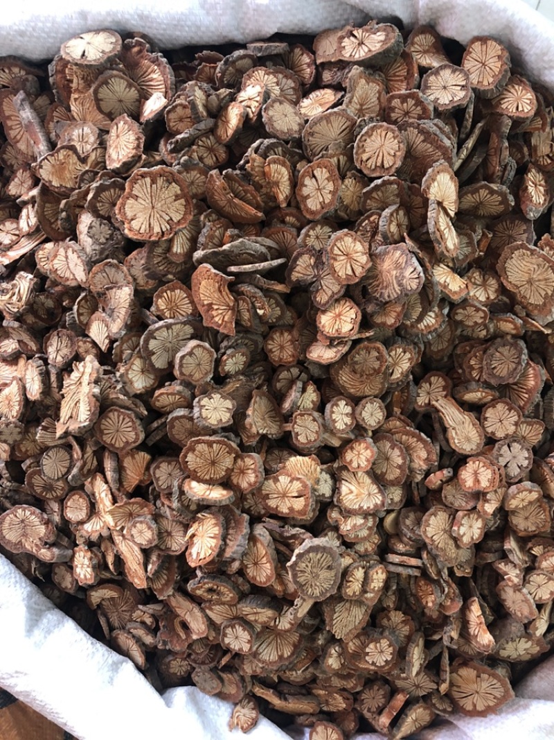 血藤，血塞通有现货价格便宜一手货源