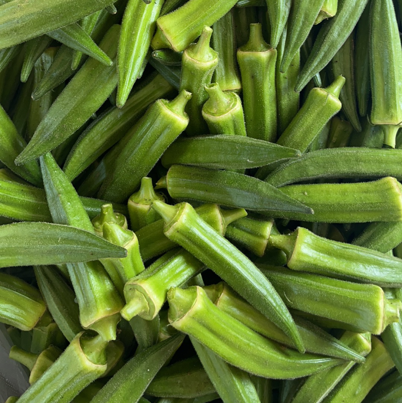 黄秋葵
