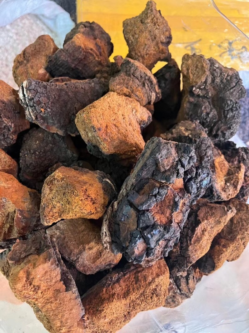 桦树茸白桦茸黑精颗粒一手货源视频看货