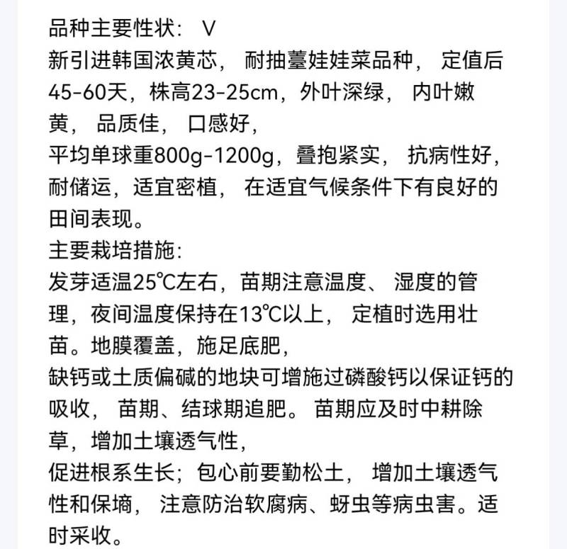 耐寒玲珑娃娃菜种子韩国春秋耐抽苔浓黄心早熟50天娃娃菜种