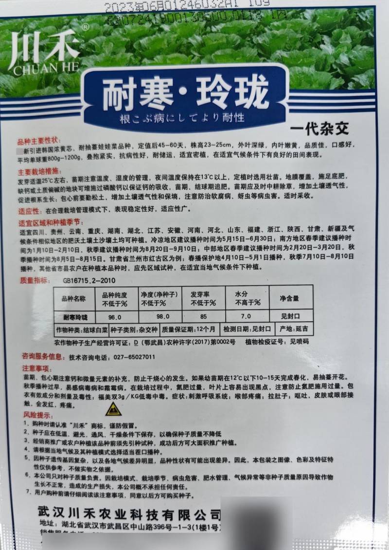 耐寒玲珑娃娃菜种子韩国春秋耐抽苔浓黄心早熟50天娃娃菜种