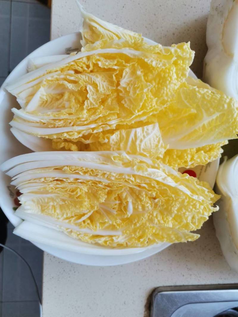 耐寒玲珑娃娃菜种子韩国春秋耐抽苔浓黄心早熟50天娃娃菜种