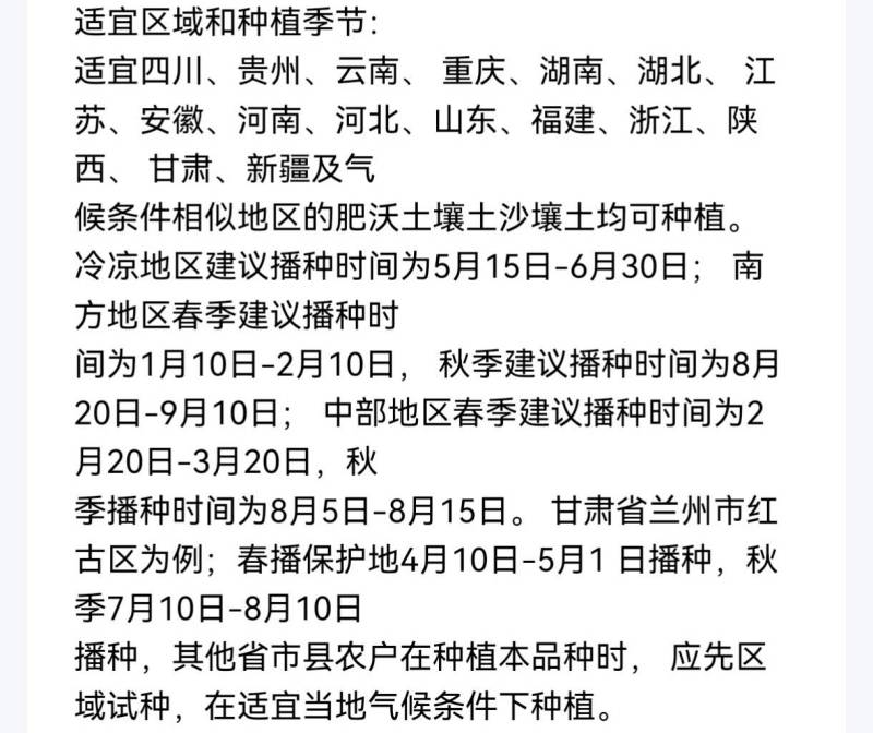耐寒玲珑娃娃菜种子韩国春秋耐抽苔浓黄心早熟50天娃娃菜种