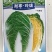 耐寒玲珑娃娃菜种子韩国春秋耐抽苔浓黄心早熟50天娃娃菜种