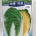 耐寒玲珑娃娃菜种子韩国春秋耐抽苔浓黄心早熟50天娃娃菜种