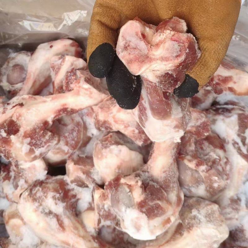 126前腿骨整根