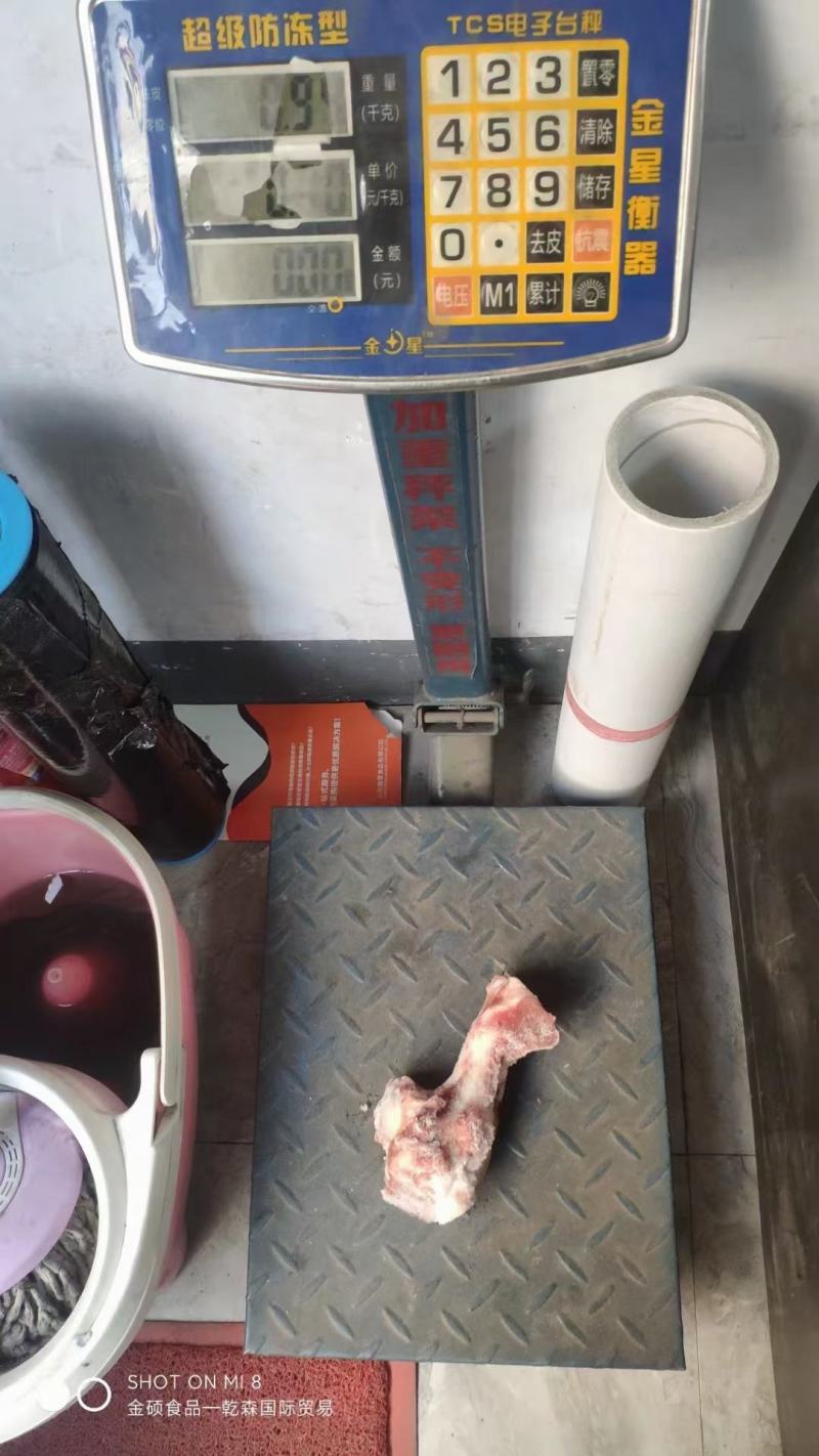 126前腿骨整根