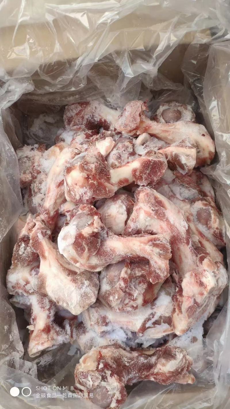 126前腿骨整根